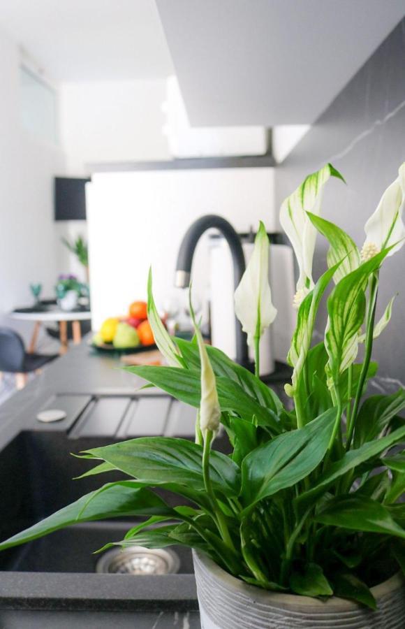 Cosmo Apartment Дубровник Екстериор снимка